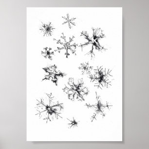 Delicate Falling Snowflakes Poster