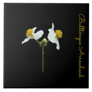 Delicate floral on black ceramic tile