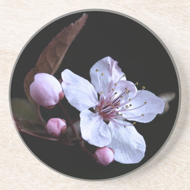 delicate flower floral drink coaster (Front)