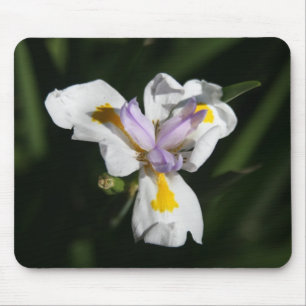 delicate flower mouse mat