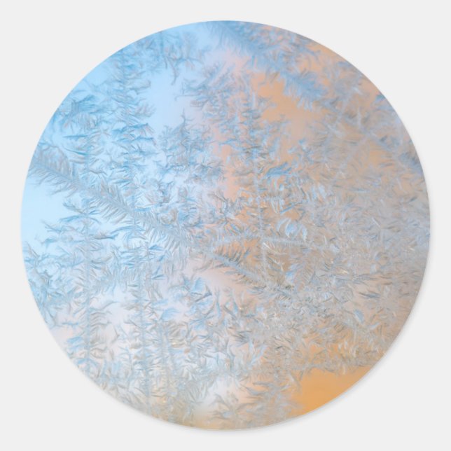 Delicate frost pattern, Wisconsin Classic Round Sticker (Front)