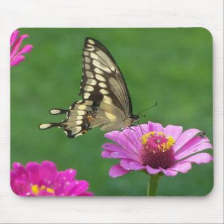 Delicate Monarch Mouse Mat