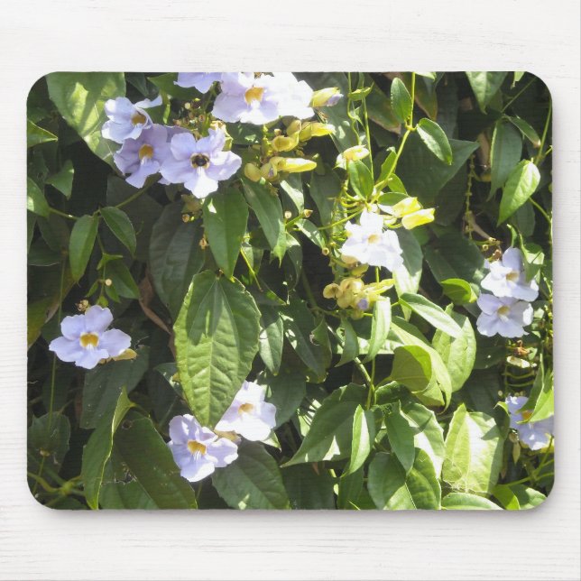 Delicate Morning Glories Mouse Mat (Front)