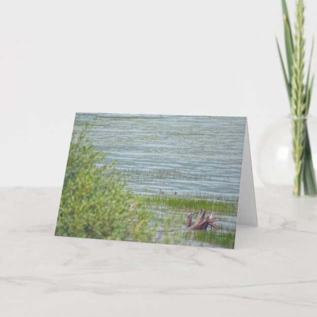 Delicate Movement Card (Front)