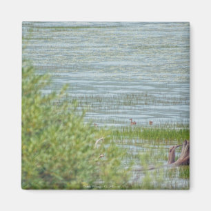 Delicate Movement Magnet