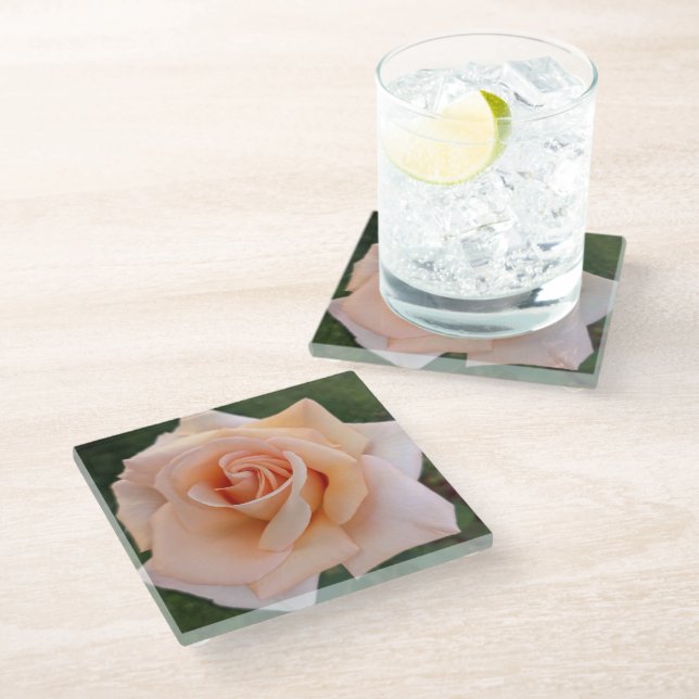Delicate Orange Rose Bloom Floral Glass Coaster (Angled)