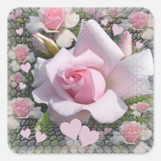 Delicate Pale Pink Rose with Hearts Square Sticker (Front)