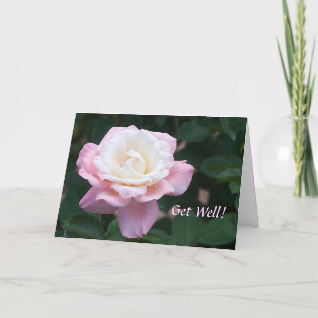 Delicate Pink and White Rose Get Well Card (Front)