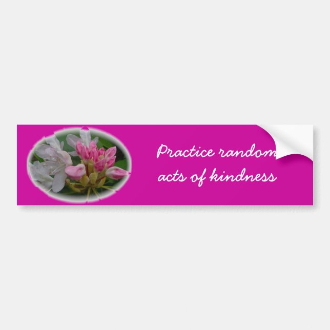 Delicate Pink Azaleas Bumper Sticker (Front)