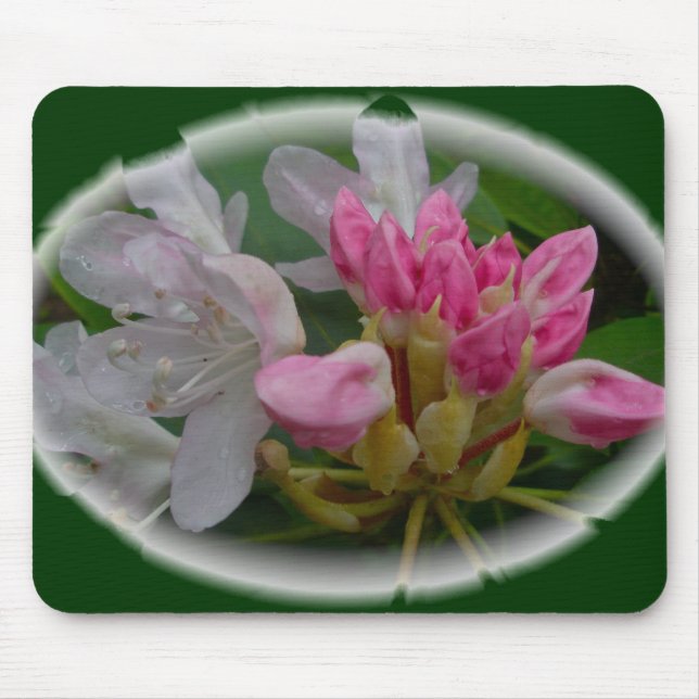 Delicate Pink Azaleas Mouse Mat (Front)