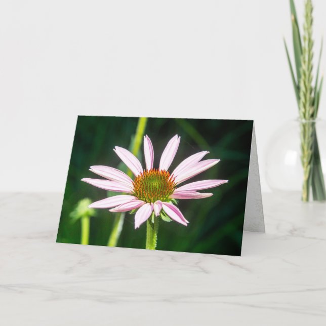 Delicate Pink Blossom Note Card (Front)