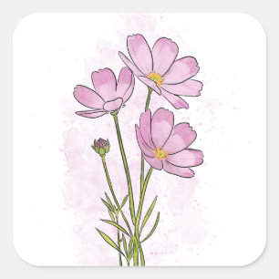 Delicate Pink Cosmos Flower Watercolor Square Sticker