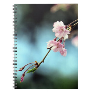 Delicate pink floral and blue - notebook