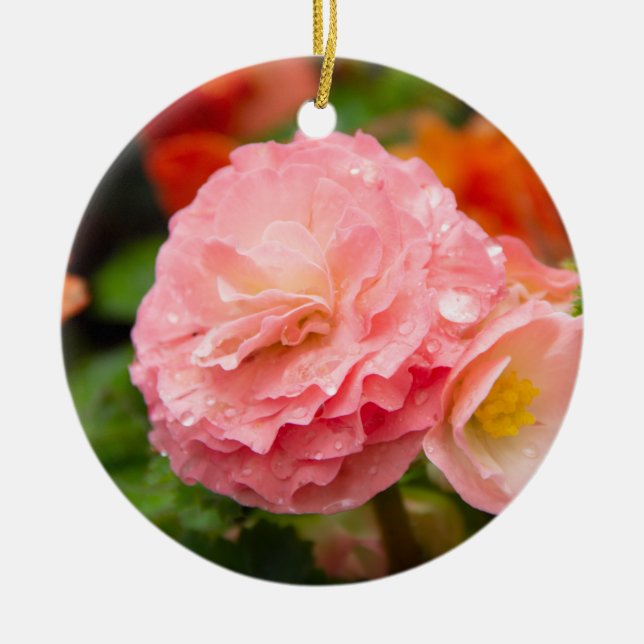 Delicate pink flower after the rain   ceramic tree decoration (Front)