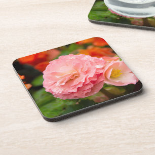 Delicate pink flower after the rain  coaster