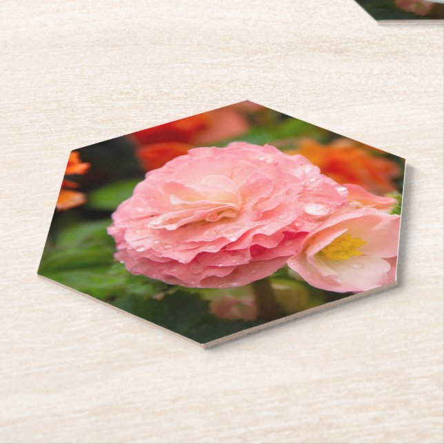 Delicate pink flower after the rain  paper coaster (Angled)