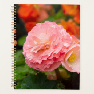 Delicate pink flower after the rain   planner