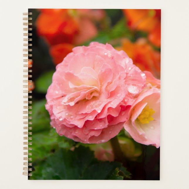 Delicate pink flower after the rain   planner (Front)