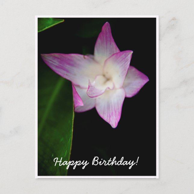 Delicate Pink Flower Happy Birthday Postcard (Front)