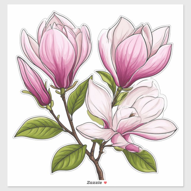 Delicate Pink Magnolia Flowers On Branch (Sheet)
