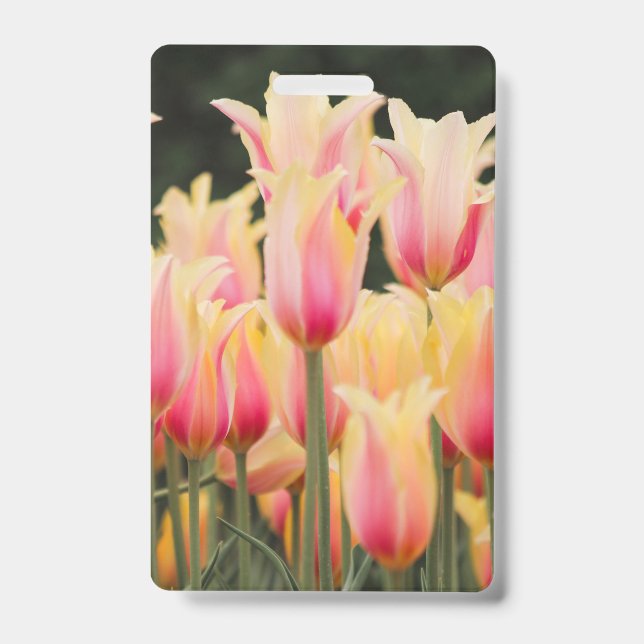 Delicate Pink Petals ID Badge (Front)