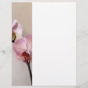 Delicate Pink Phalaenopsis Orchids Flyer