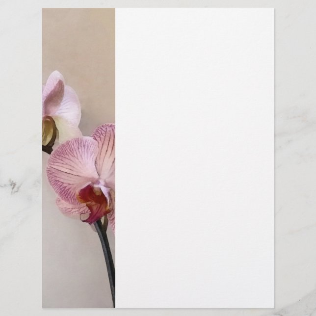 Delicate Pink Phalaenopsis Orchids Flyer (Front)