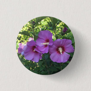 Delicate Pink Rose of Sharon/Hibiscus Flower Photo 3 Cm Round Badge