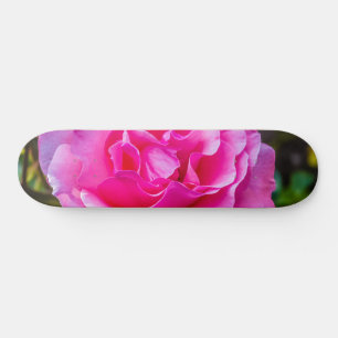 Delicate pink rose. skateboard