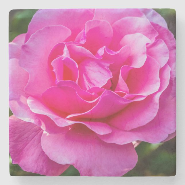 Delicate pink rose. stone coaster (Front)