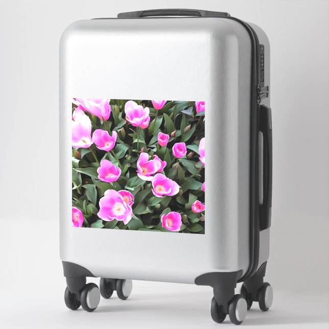 Delicate Pink Tulips of Istanbul (Suitcase)