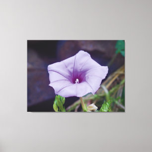 Delicate Purple Bloom Close-Up Photography Canvas Print