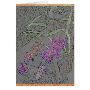 Delicate purple flowers