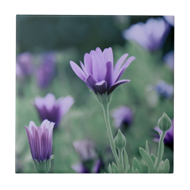 Delicate Purple Lavender Flowers Tile (Front)