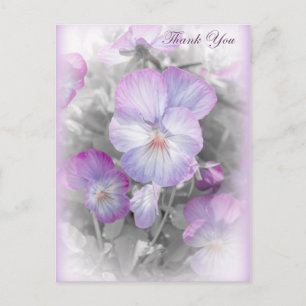 Delicate Purple Pansies Thank You Postcard