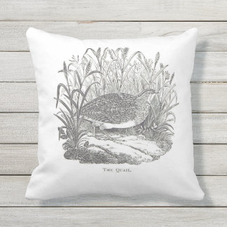 Delicate Quail Vintage-print Outdoor Pillow