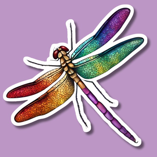 Delicate Rainbow Dragonfly (Creator Uploaded)