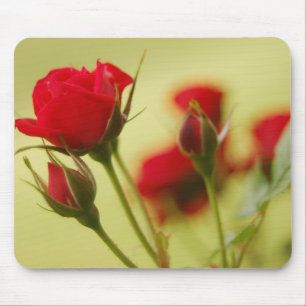 Delicate Red Rose Mouse Mat