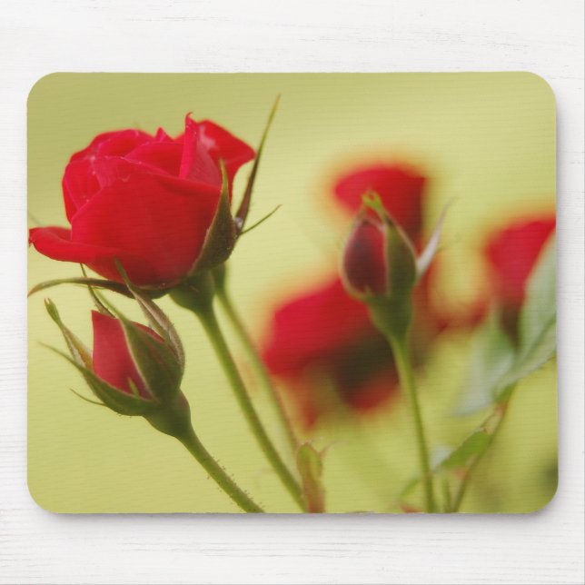 Delicate Red Rose Mouse Mat (Front)