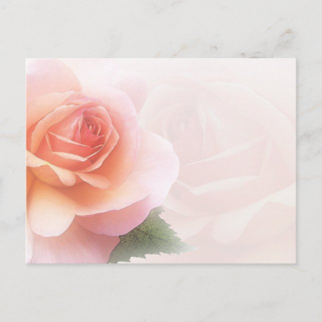 Delicate Rose All Occasion Post Card (Front)