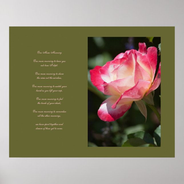 Delicate Rose and Love Poem Poster (Front)