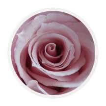 Delicate Rose Edible Frosting Round