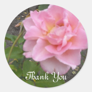 Delicate Rose Thank You Classic Round Sticker