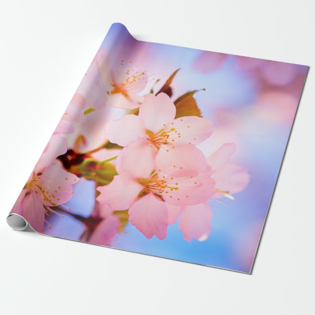 Delicate Sakura Flowers Wrapping Paper (Unrolled)