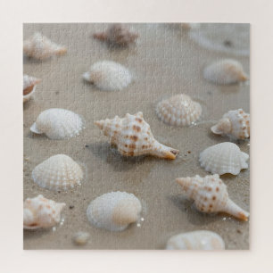 Delicate Seashells Beach Serenity Jigsaw Puzzle
