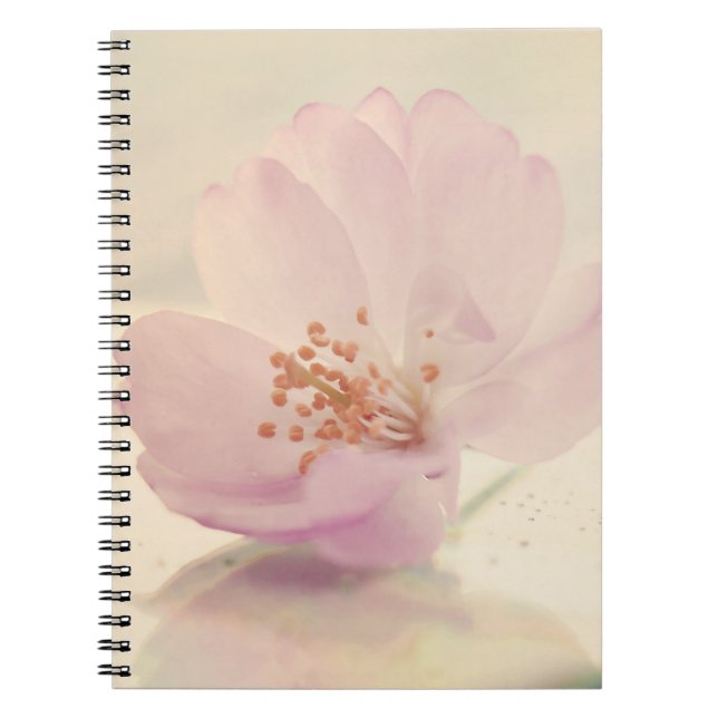 Delicate Soft Pink Cherry Blossom Flower Notebook (Front)