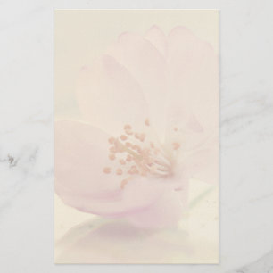 Delicate Soft Pink Cherry Blossom Flower Stationery