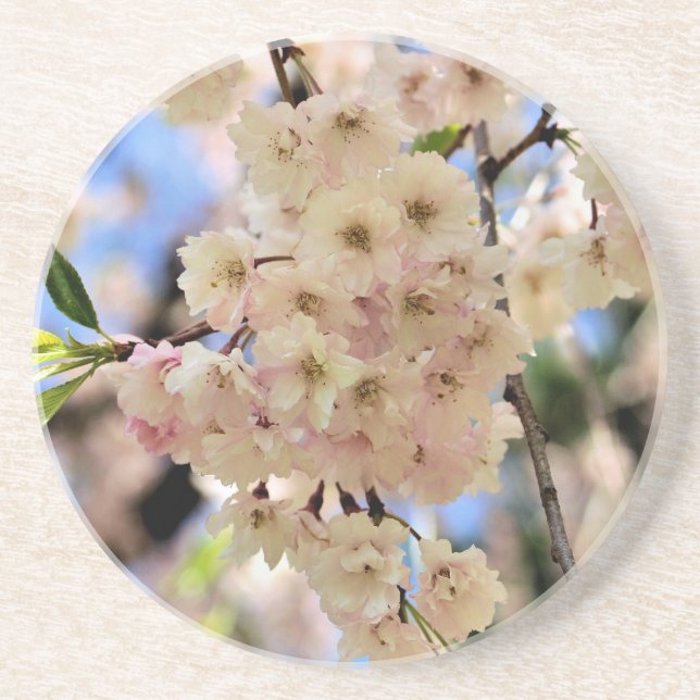 Delicate Spring Blossoms Floral Coaster (Front)