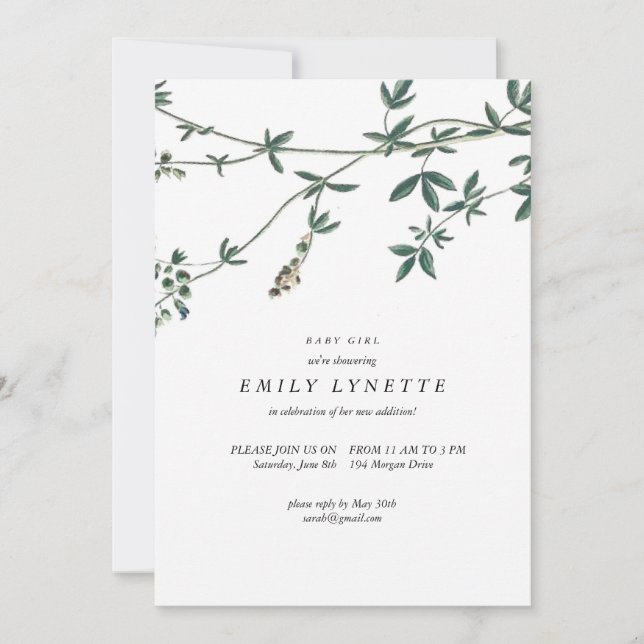 Delicate Vines Illustrated Baby Shower Invitation (Front)