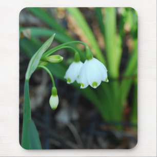Delicate White Alleghany Spurge Flowers Mouse Mat